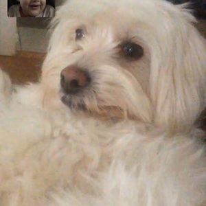 Meet your Posher, Ana